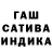Amphetamine Premium Taisha Gordeeva