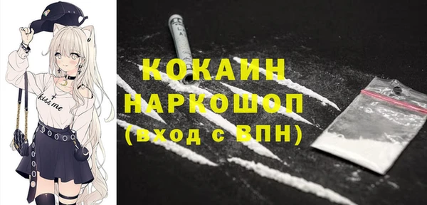 трава Коряжма
