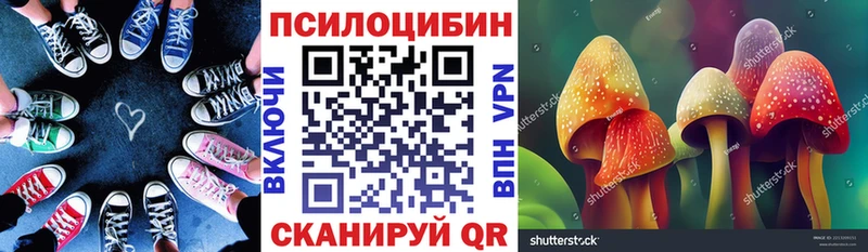 наркотики ОМГ ОМГ как войти Галлюциногенные грибы мицелий Ростов